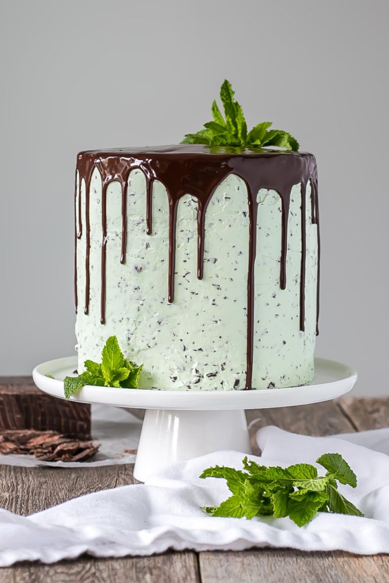 23 Fresh Mint Chocolate Recipes - Homemade Hooplah